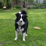 Дом отдыха Gitesonoro Beho *