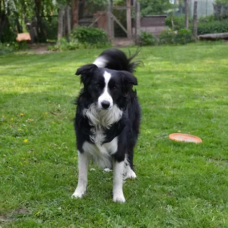 Casa vacanze Gitesonoro Beho *