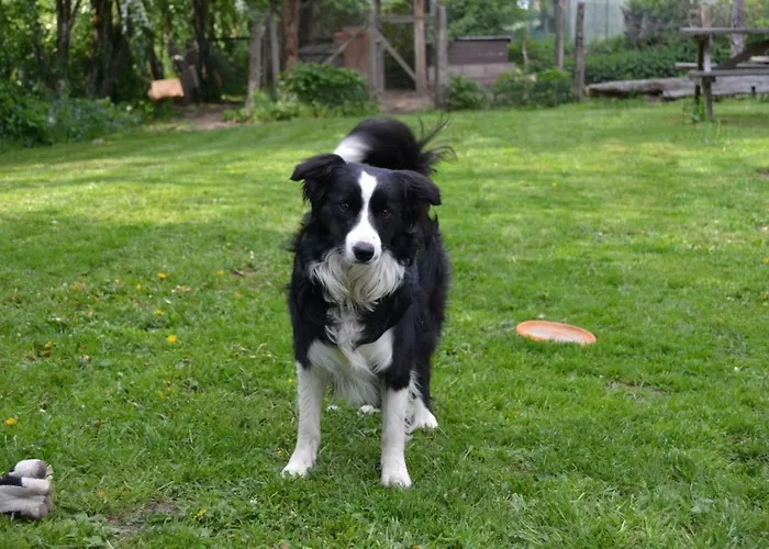 Semesterbostad Gitesonoro Beho *